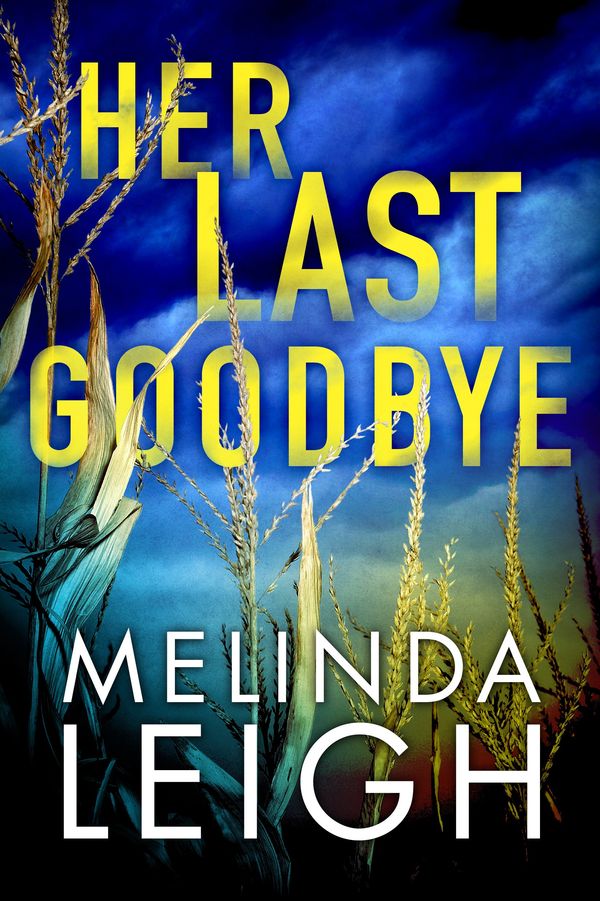 Her Last Goodbye cover