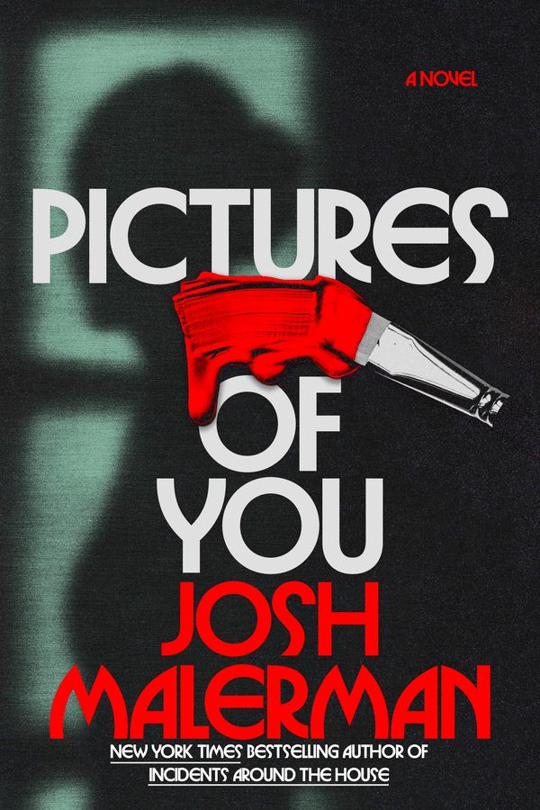 Pictures of You Book Cover