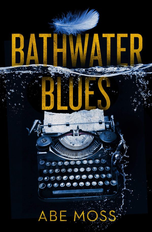 Bathwater Blues Book Cover