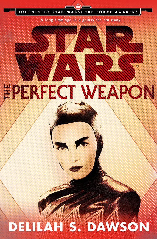 The Perfect Weapon Book Cover