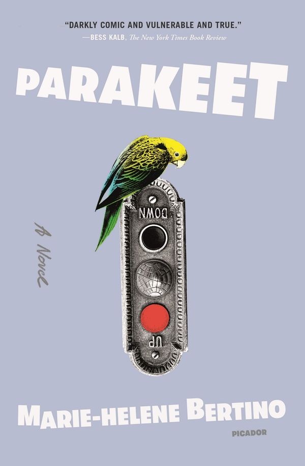 Parakeet Book Cover