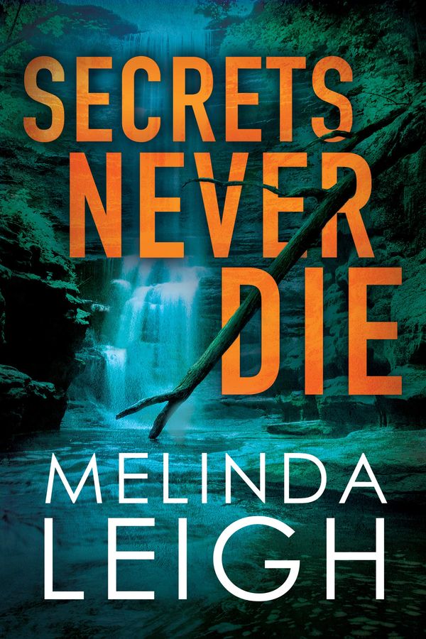 Secrets Never Die Book Cover