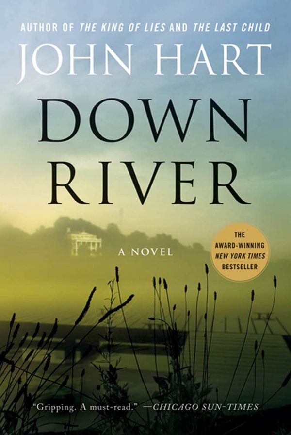 Down River Book Cover