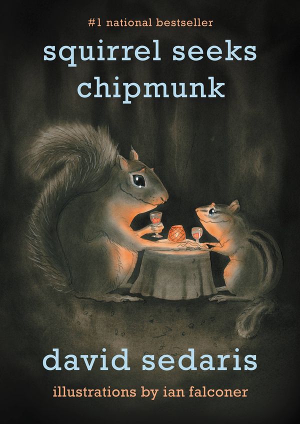 Squirrel Seeks Chipmunk Book Cover