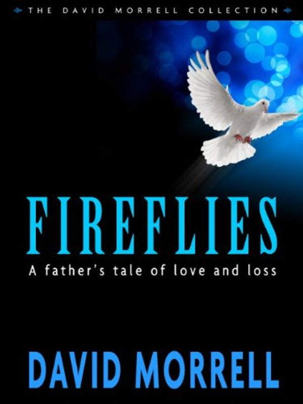 Fireflies Book Cover