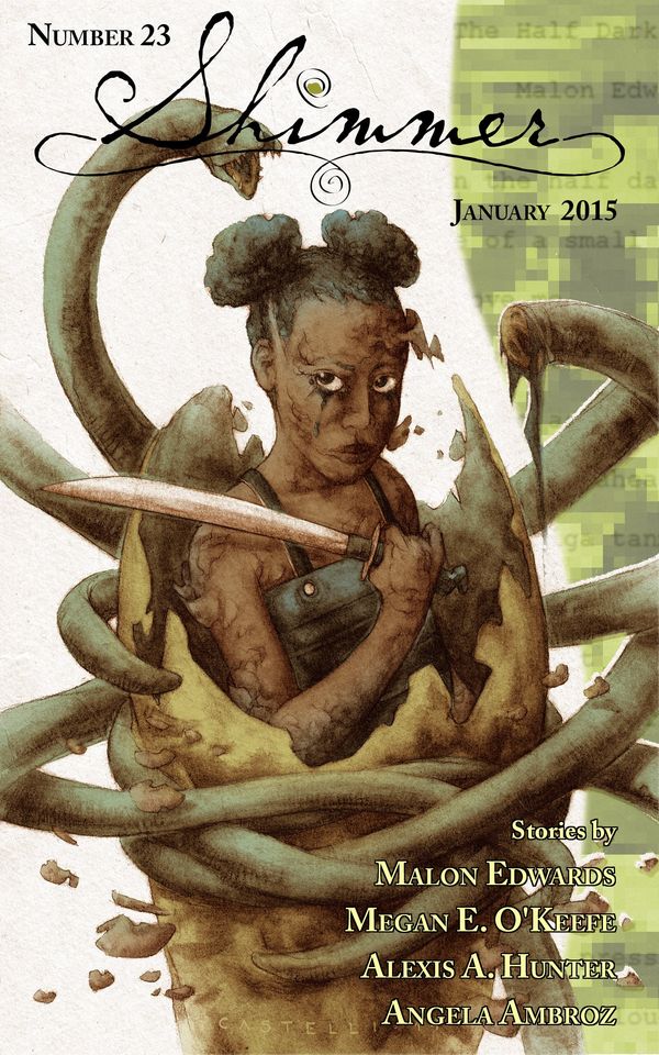 Shimmer Magazine - Issue 23 Book Cover