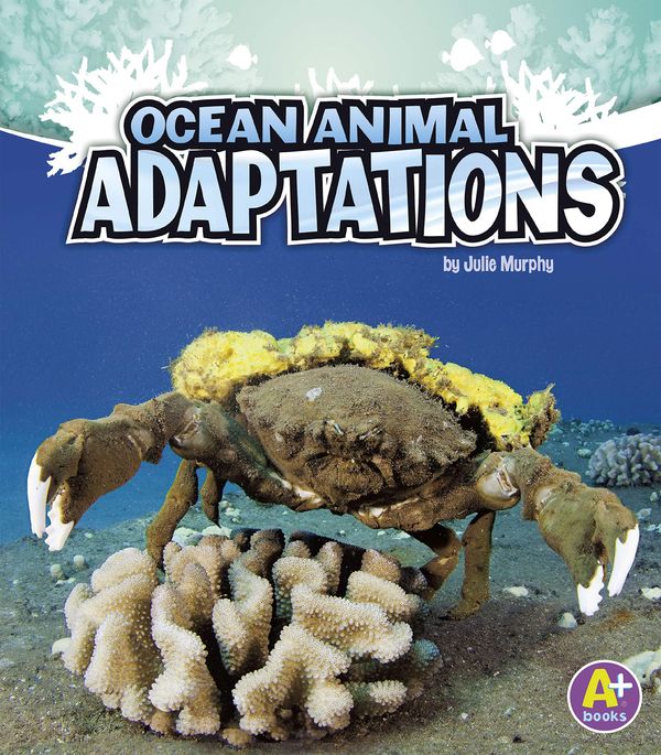Ocean Animal Adaptations Book Cover