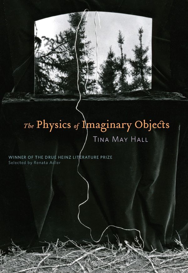 The Physics of Imaginary Objects Book Cover