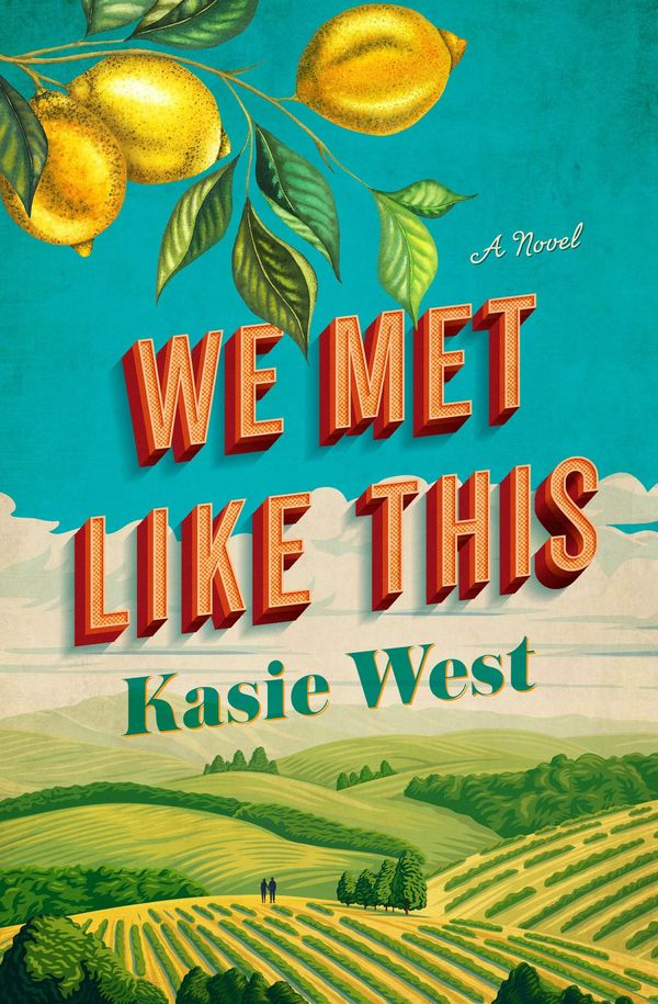 We Met Like This Book Cover