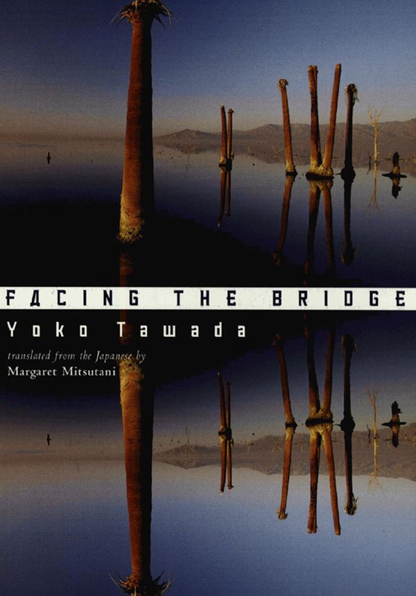 Facing the Bridge Book Cover