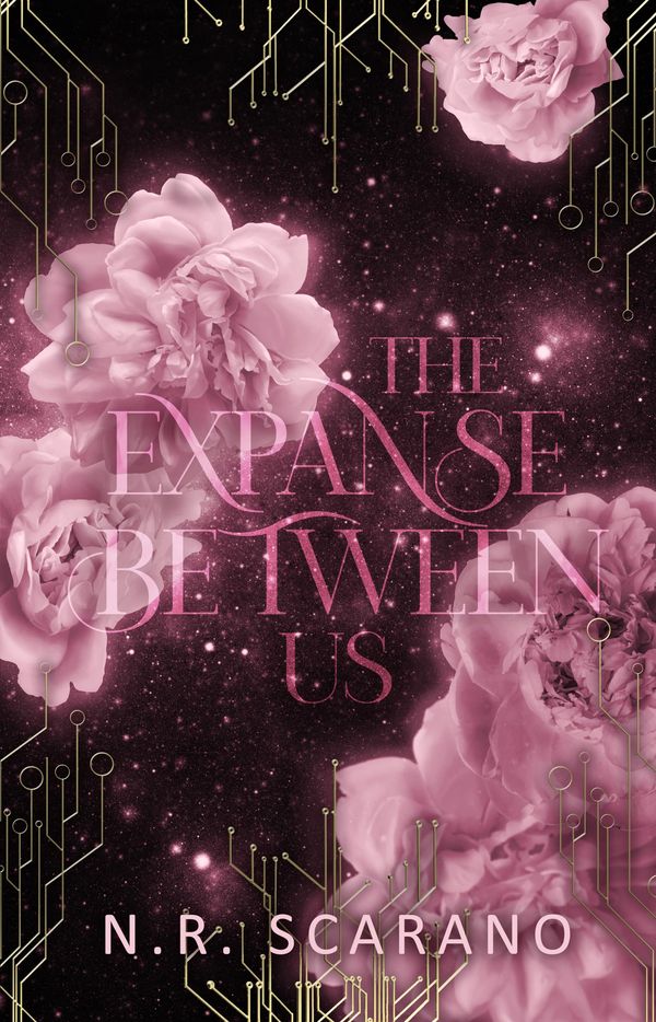 The Expanse Between Us Book Cover
