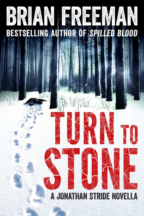 Turn to Stone Book Cover