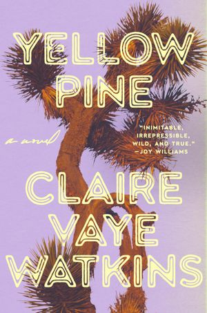 Recent book by Claire Vaye Watkins