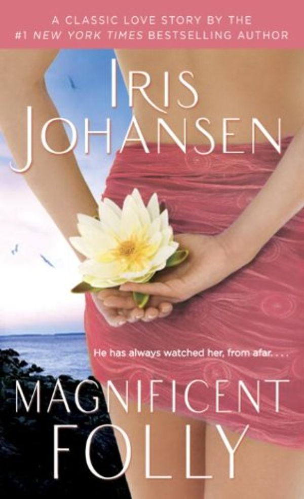 Magnificent Folly Book Cover