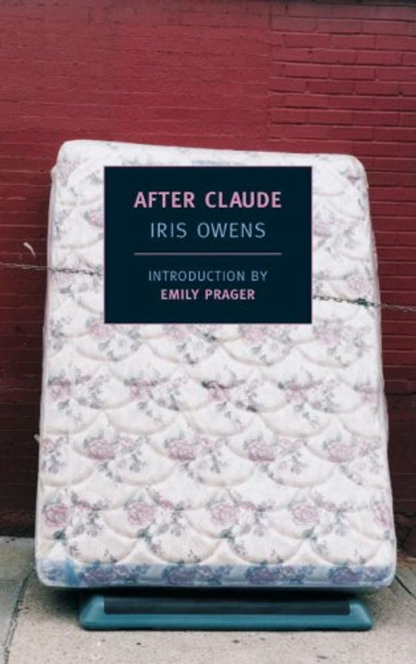 After Claude Book Cover