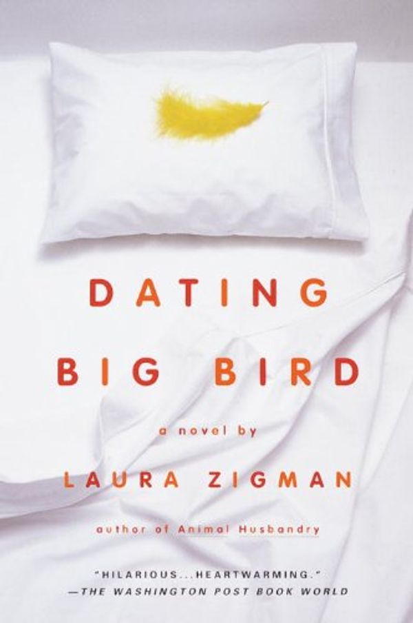 Dating Big Bird Book Cover