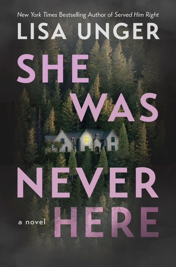 She Was Never Here Book Cover