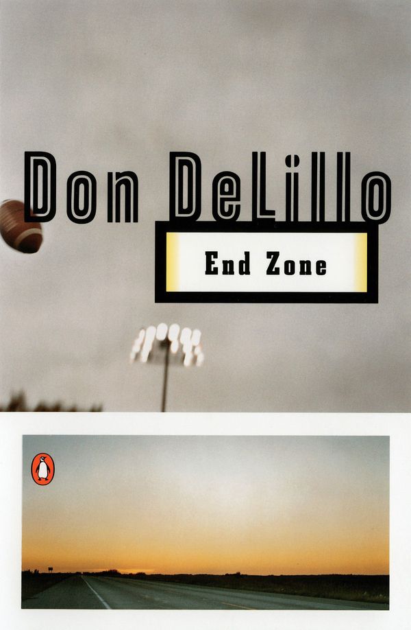 End Zone Book Cover