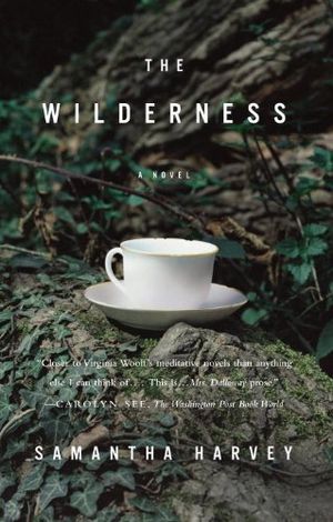 The Wilderness
