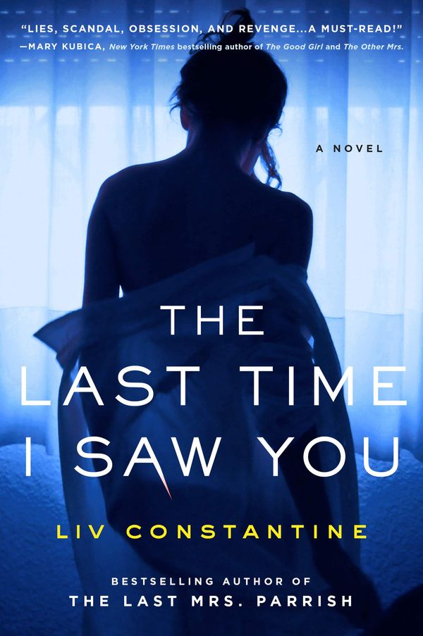 The Last Time I Saw You Book Cover