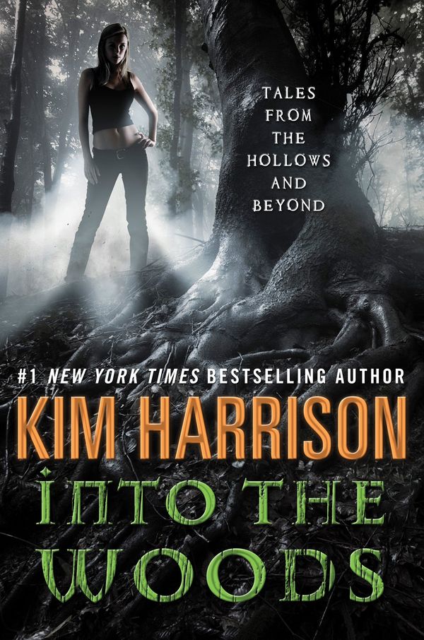 Into the Woods Book Cover