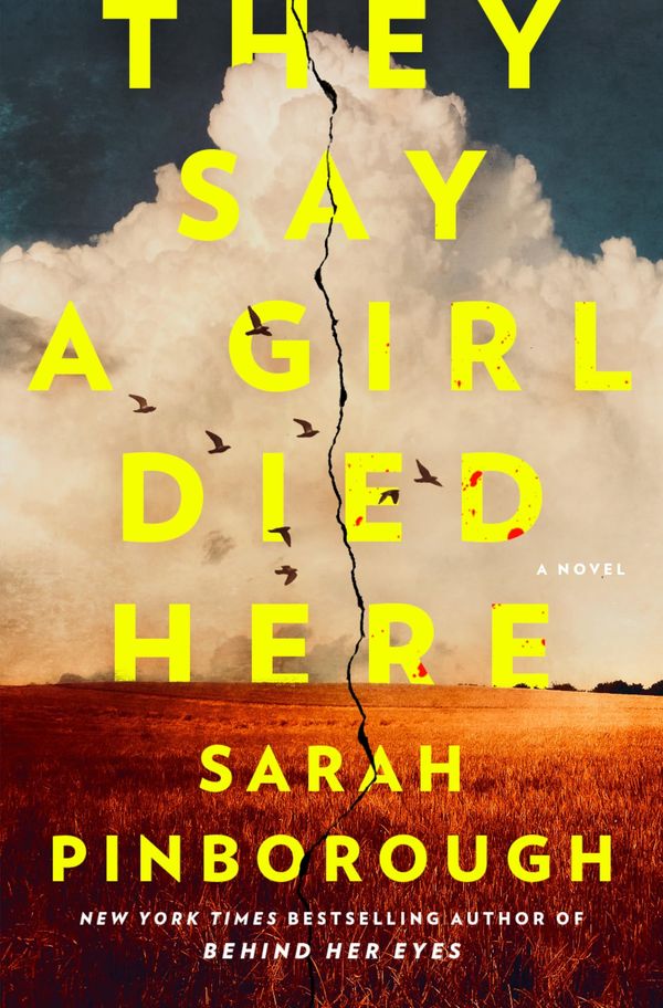 They Say a Girl Died Here Book Cover