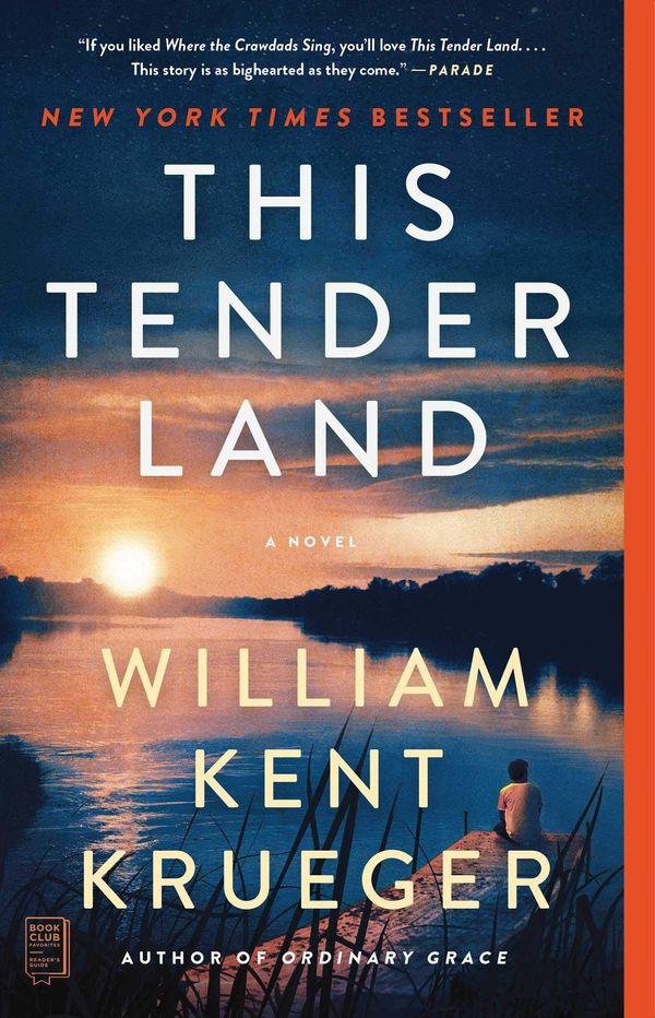 This Tender Land Book Cover