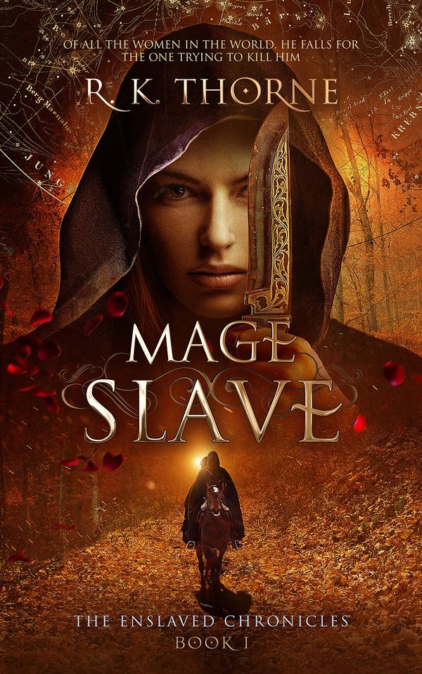 Mage Slave Book Cover