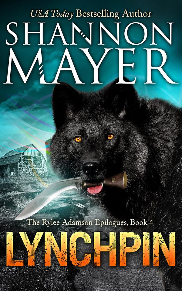 Lynchpin Book Cover