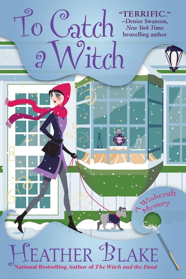 To Catch a Witch Book Cover