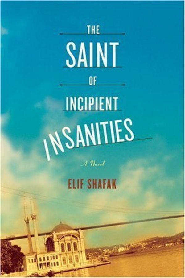 The Saint of Incipient Insanities Book Cover
