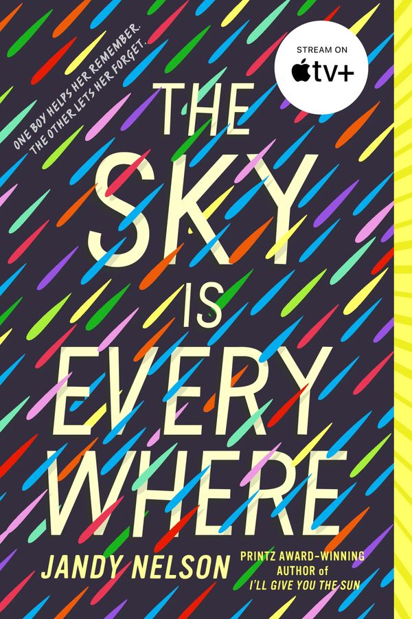 The Sky Is Everywhere Book Cover