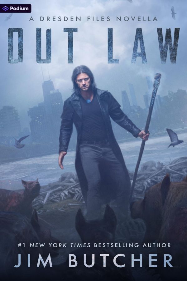 Out Law Book Cover
