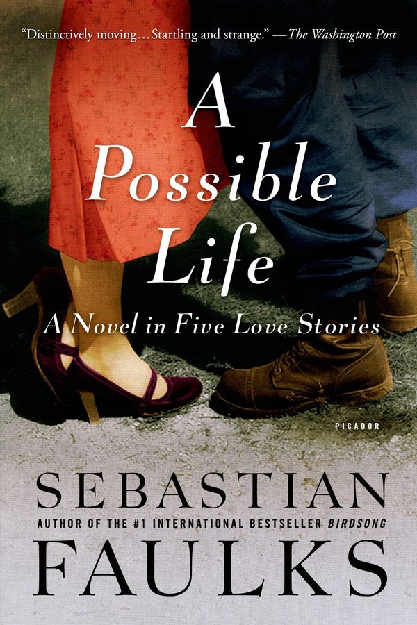 A Possible Life in Five Love Stories Book Cover