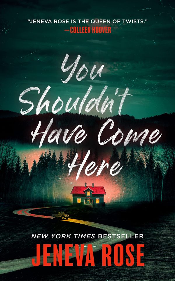 You Shouldn’t Have Come Here Book Cover