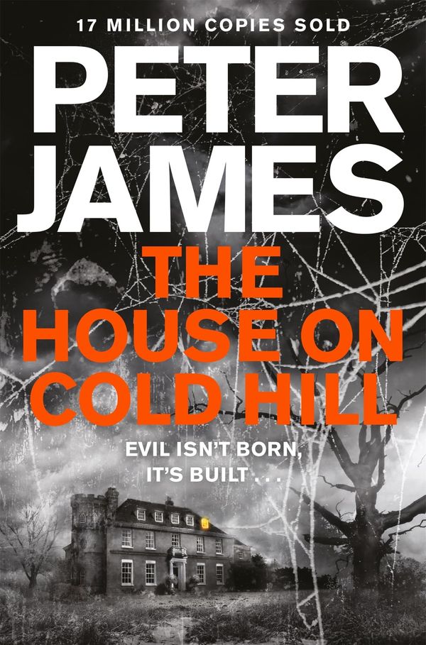 The House on Cold Hill Book Cover