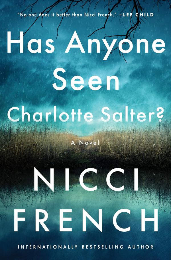Has Anyone Seen Charlotte Salter? Book Cover