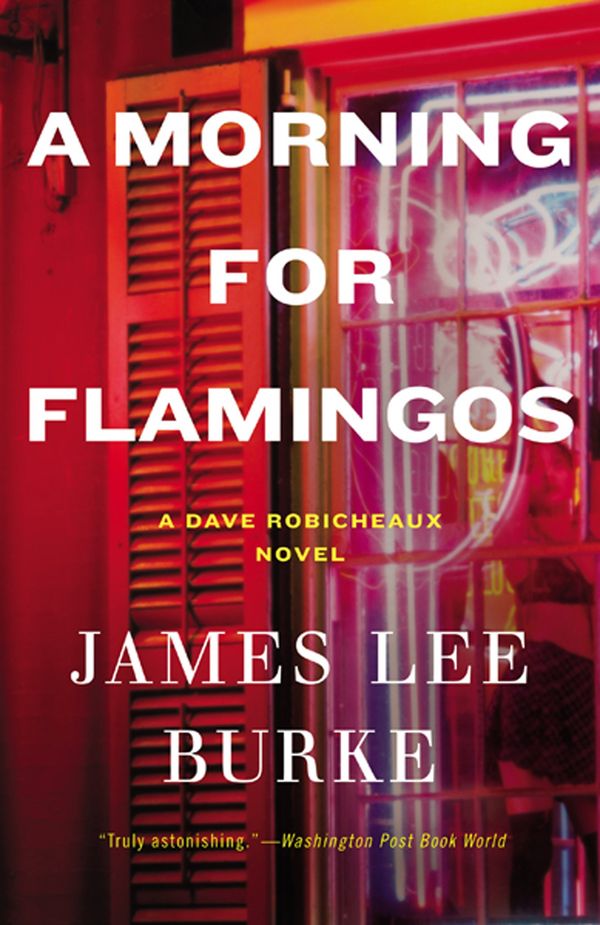 A Morning for Flamingos Book Cover