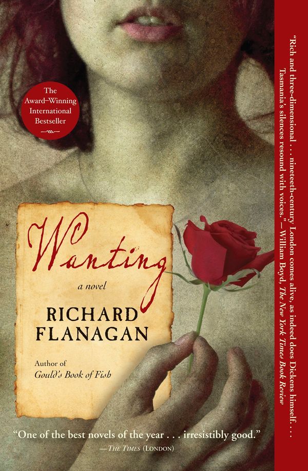 Wanting Book Cover