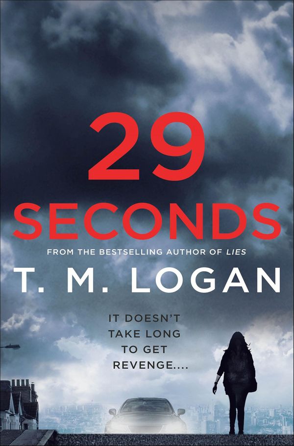 29 Seconds Book Cover