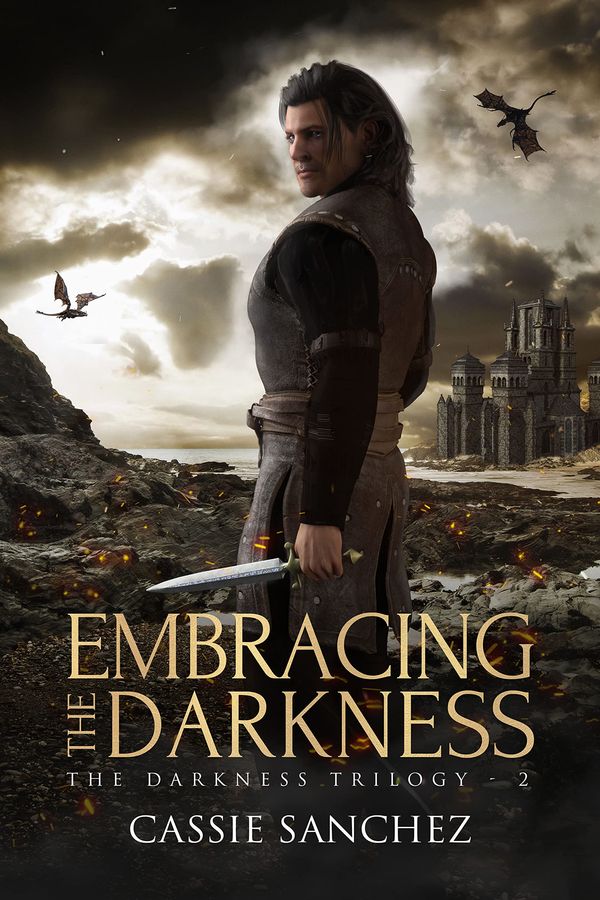Embracing the Darkness cover