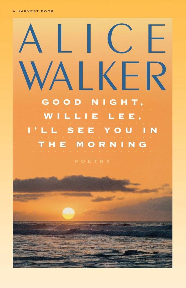 Good Night, Willie Lee, I’ll See You In The Morning Book Cover