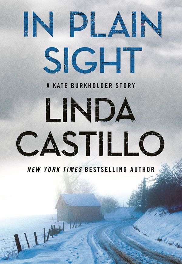 In Plain Sight Book Cover