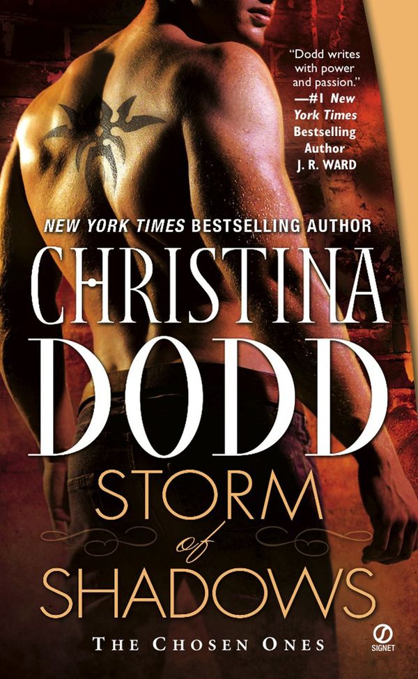 Storm of Shadows cover