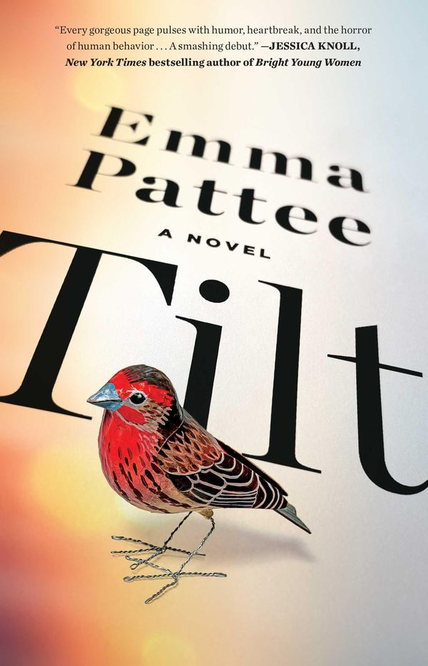 Tilt Book Cover