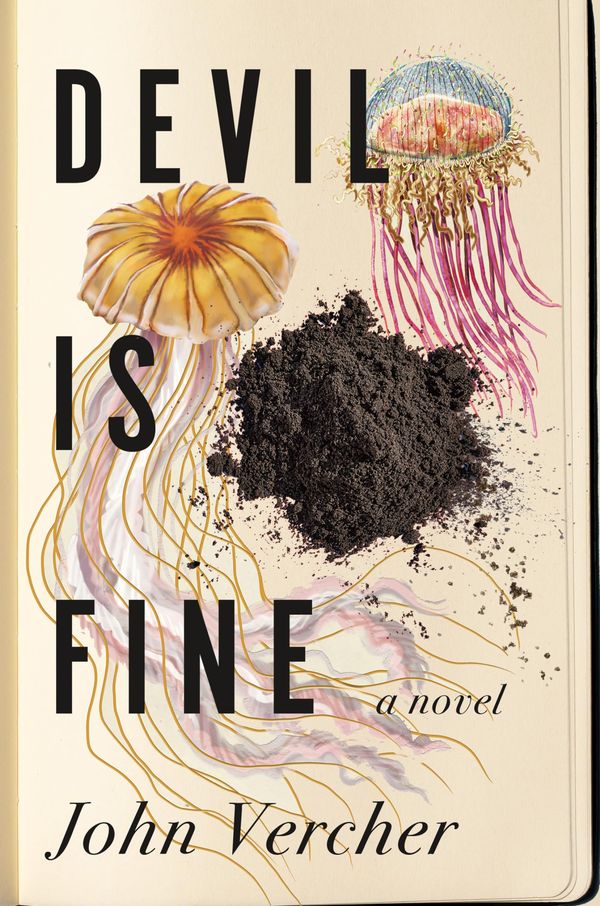 Devil Is Fine Book Cover