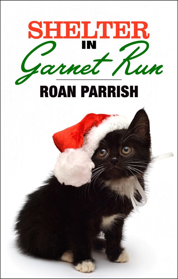 Shelter in Garnet Run Book Cover