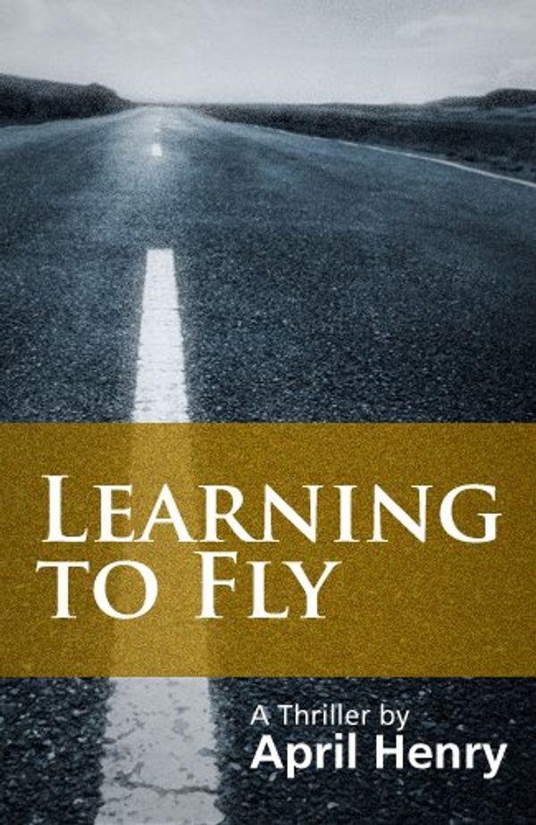 Learning to Fly Book Cover