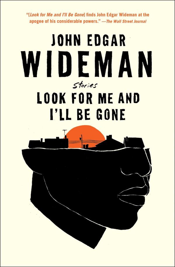 Look for Me and I'll Be Gone: Stories Book Cover