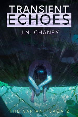 Transient Echoes